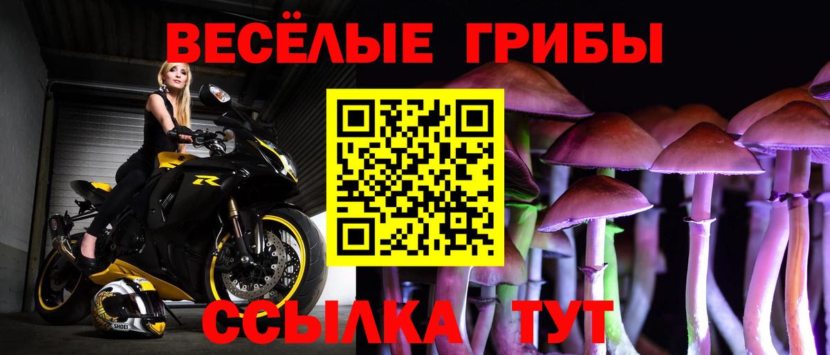Галлюциногенные грибы Psilocybine cubensis Белорецк